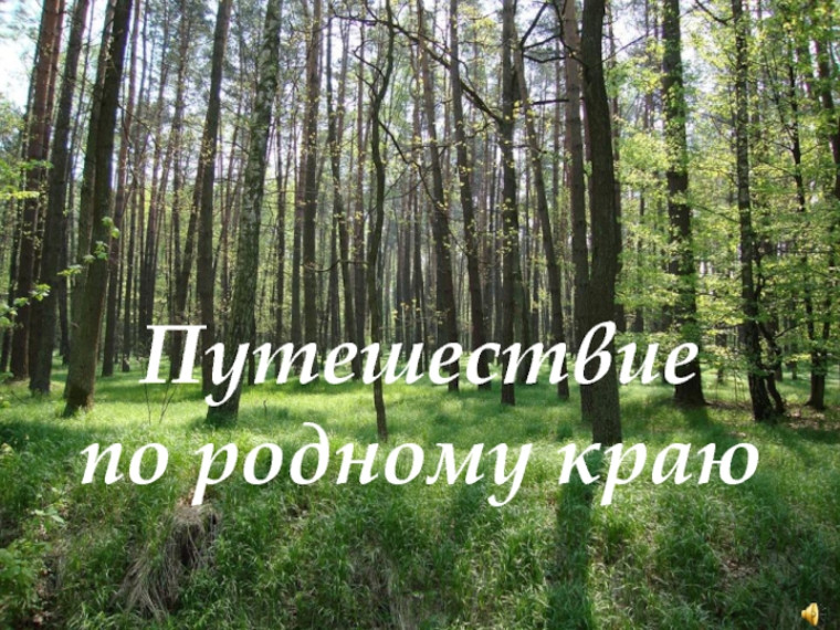 Увлекательное путешествие по родному краю.