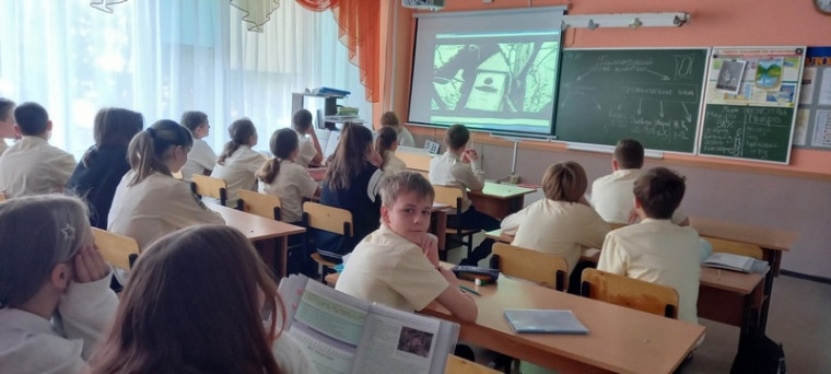 Всероссийский урок &quot;Эколята- молодые защитники природы&quot;.